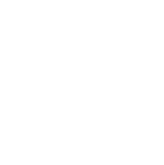 Logo Cerv. Presidente