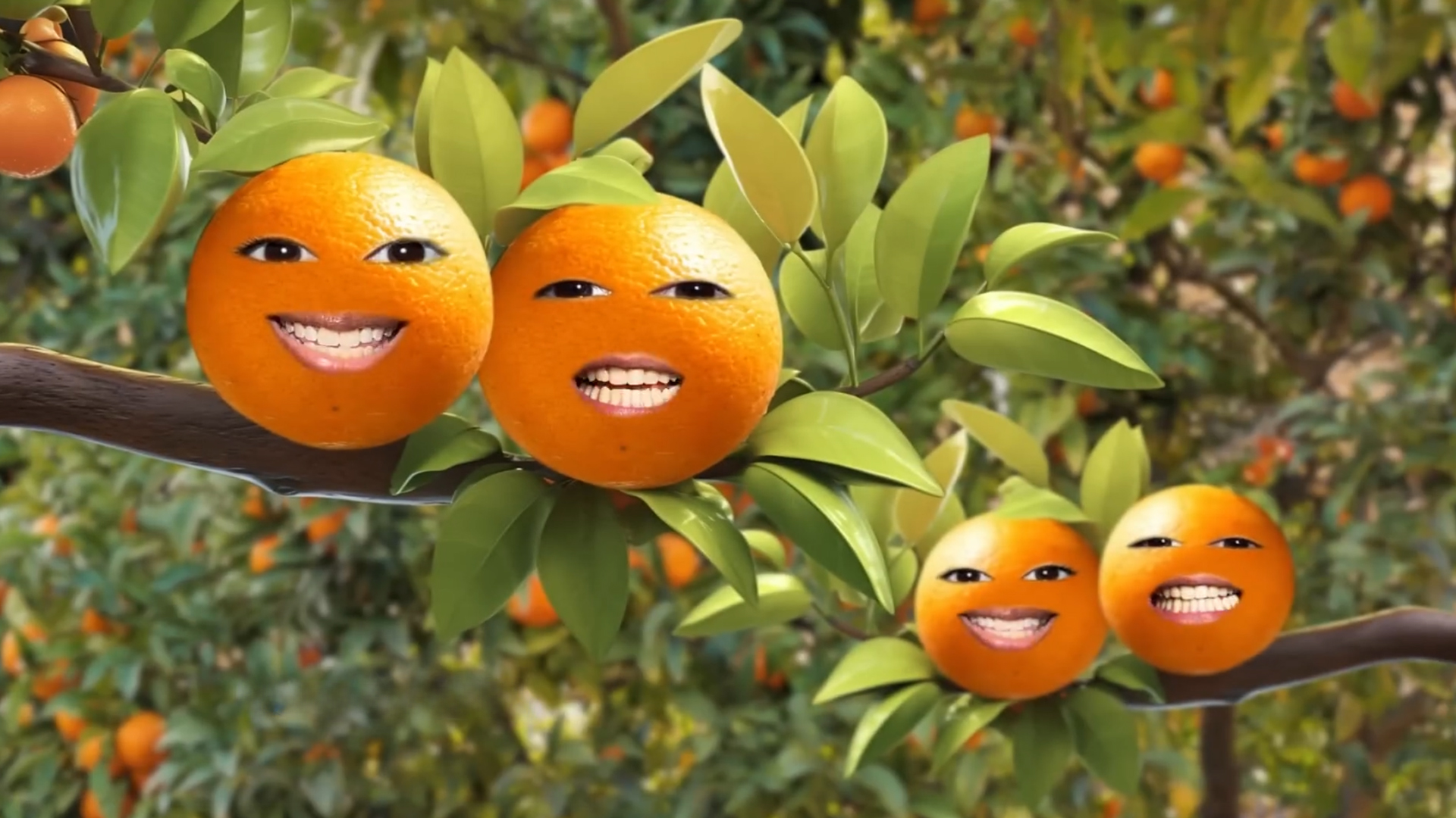 Santal Naranja